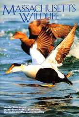 Massachusetts Wildlife Magazine Subscription